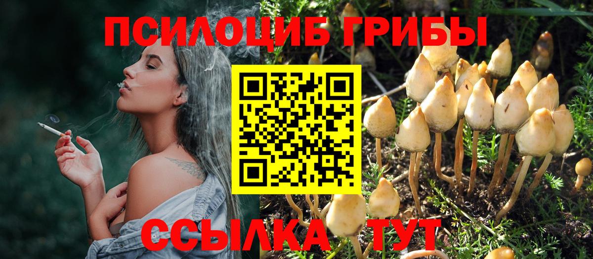 Псилоцибиновые грибы ЛСД  как найти закладки  Жигулёвск  Вход с VPN 