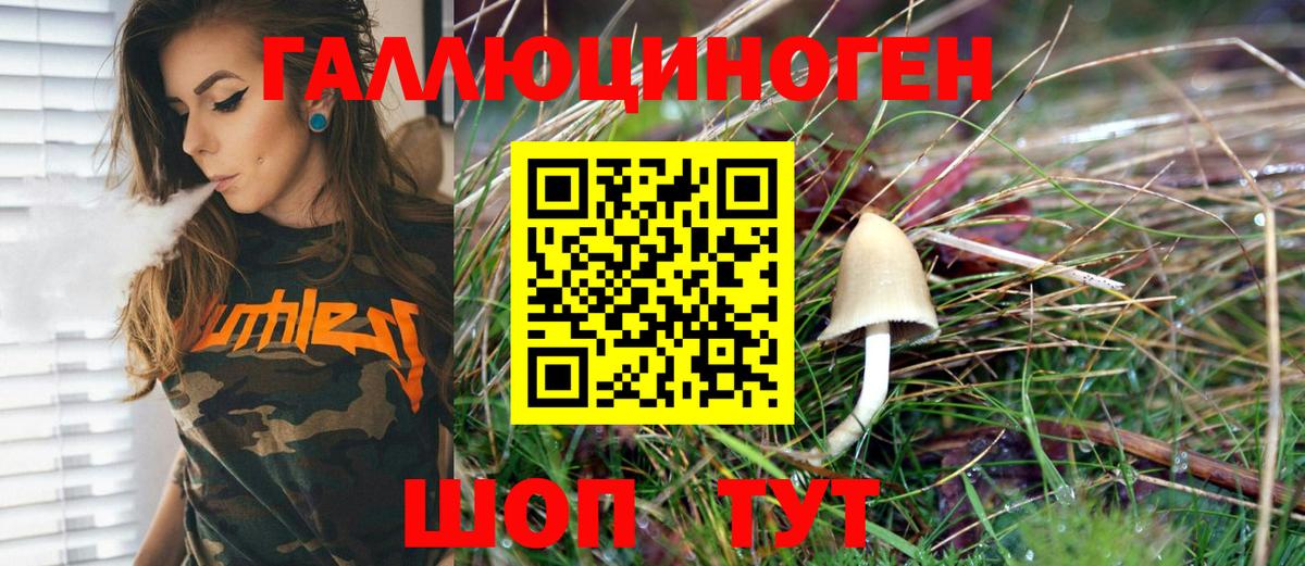 Галлюциногенные грибы GOLDEN TEACHER Жигулёвск