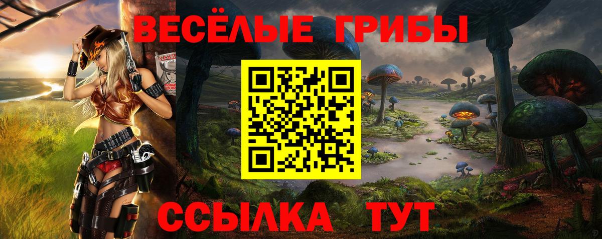 Галлюциногенные грибы прущие грибы Жигулёвск